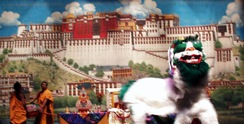 19snowlion